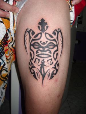 tortue poly